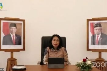 Greater participation in politics to push women's interests: minister