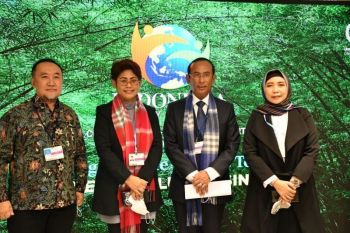 Di forum COP, DEN paparkan komitmen RI untuk bangun rendah karbon energi bersih
