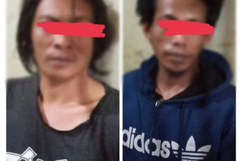 Polisi pantau peredaran narkotika di kalangan pembudidaya rumput laut