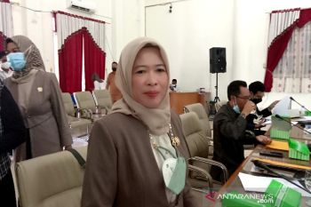 Legislator Barsel: Pemerintah harus miliki rencana jangka panjang atasi banjir