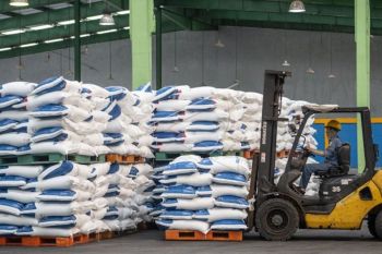 Pupuk subsidi bantu peningkatan produktivitas petani Sumsel