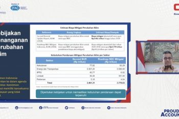 Wamenkeu Suahasil Nazara nyatakan biaya mitigasi perubahan iklim capai Rp3.779 triliun