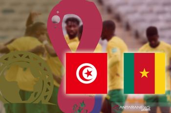 Tunisia dan Kamerun melaju