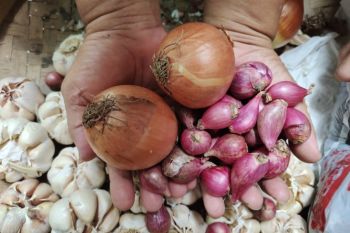 Disperindag Lampung mengupayakan jaga stabilitas harga jelang akhir tahun