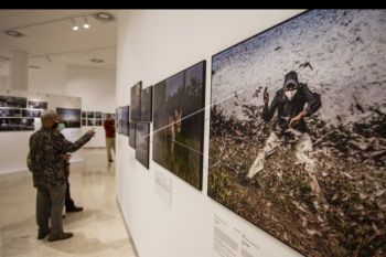 Pameran world press photo 2021