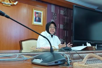 Minister reports erroneous social aid disbursal in Menteng elite area
