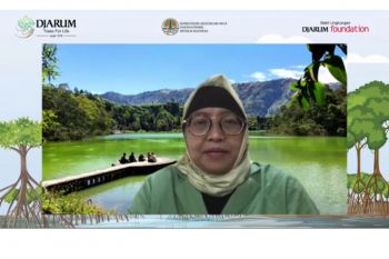 Mangrove restoration, conservation requires commitment: ministry