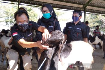 Kudus tambah anggaran Rp3 miliar untuk program bantuan kambing