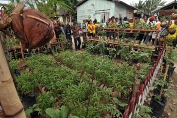Pemprov Sumsel dorong Gerakan Mandiri Pangan ke kabupaten/kota
