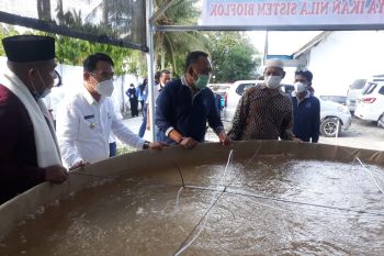 Pemkab Sigi  gunakan teknologi bioflok kembangkan sektor perikanan