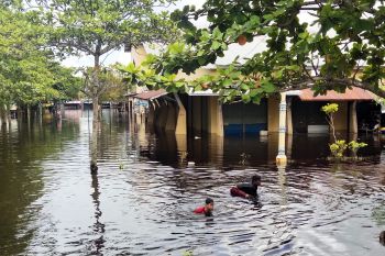 31.013 warga Palangka Raya terdampak banjir