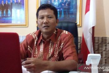 PT Pelni operasikan tiga kapal layani penumpang mudik Nataru dari Timika