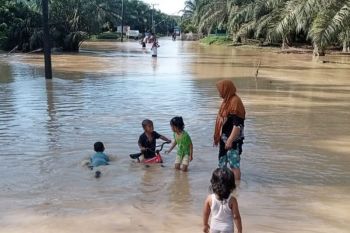 Banjir merendam tiga desa di Aceh Timur