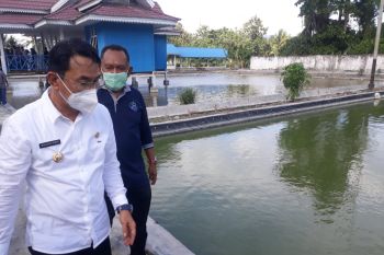 Sigi optimalkan fungsi BBI  genjot kualitas budidaya ikan air tawar