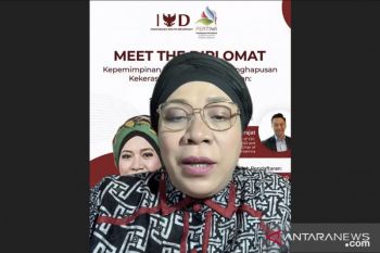 Democracy in deficit without women's involvement: ambassador