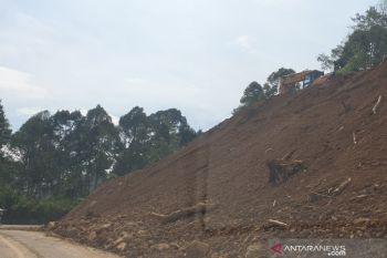 Walhi:  Pemda patuhi RTRW antisipasi bencana hidrometeorologi