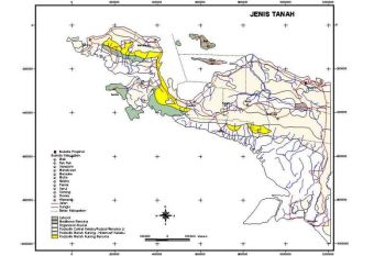 Berebut jabatan kursi Wakil Gubernur Papua