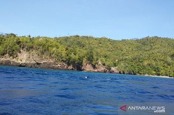 Pemkab Sangihe minta masyarakat tidak mengusik kehadiran dugong