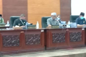 Legislator ingatkan pemprov gali potensi sumber pendapatan daerah