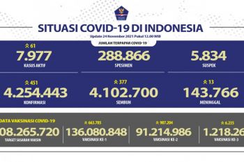 Satgas: Kasus positif COVID-19 bertambah 451 orang