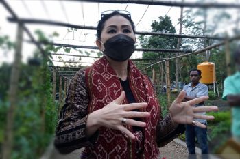 1.000 kaum milenial dilatih jadi penenun tenun ikat NTT