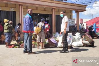 Pemkab Jayawijaya mulai pasarkan sayur petani ke Mimika
