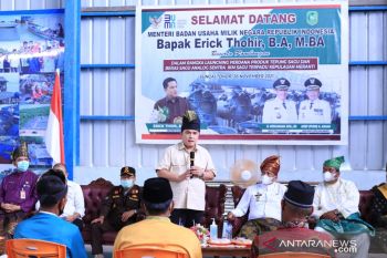 Menteri BUMN bakal bantu komoditas sagu di Meranti bisa naik kelas