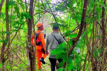 Tim SAR gabungan cari warga Sikka belum pulang dari berkebun