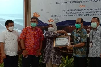 KKP-PT PJB Paiton menjajaki kerja sama konservasi perikanan