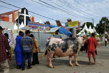 Bupati Tana Toraja terbitkan surat edaran PPKM level 3 menjelang Natal dan Tahun Baru