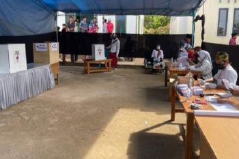 Pilkades serentak digelar 14 desa di Buton Selatan