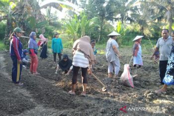 Yayasan Care Peduli kerja sama berdayakan lima desa di Donggala berbasis ekonomi