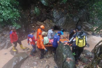 Tim gabungan evakuasi pria terjun ke jurang di Kelok Jariang Bungus Padang