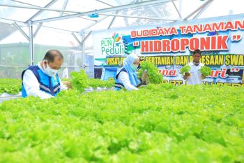 PLN TJSL Fest 2021, dr Tirta berikan tips pada UMK