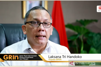 BRIN focusing research on COVID-19 handling: head