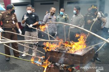 Kejari Agam musnahkan barang bukti kejahatan satwa dilindungi