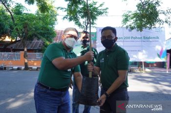 PLN Sulselrabar salurkan 5.000 pohon produktif dan endemik di tiga kabupaten