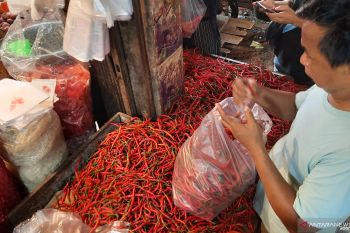 Harga sejumlah kebutuhan pokok di Pasar Pariaman berfluktuasi