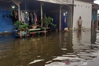 Banjir rob kembali rendam pemukiman warga di Tangerang