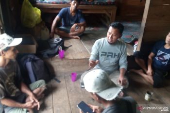 Diduga terjangkit ASF, puluhan babi mati mendadak di Kabupaten Agam, Sumbar