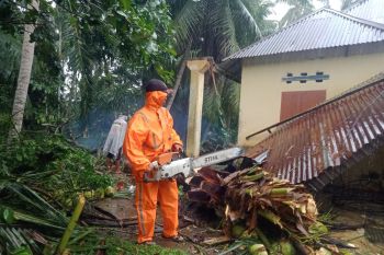 Tanah longsor dan pohon tumbang terjadi di Agam, satu rumah rusak