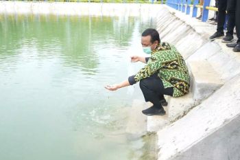 Pemprov Sulsel manfaatkan Embung Lalengrie di Bone untuk budi daya ikan nila