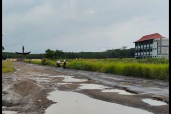 Masyarakat di Lampung Selatan harapkan jalan rusak diperbaiki