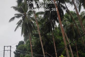 PLN cepat lakukan penormalan jaringan akibat cuaca buruk