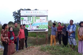 Universitas Jambi tanam pohon untuk penghijauan desa