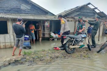 Camat Labuhan Maringgai beri bantuan sembako warga rumahnya terdampak rob dan angin kencang