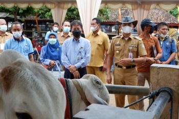 DPKP DIY mengintensifkan program Sikomandan di Gunung Kidul