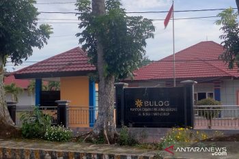 Stok beras di Rejang Lebong cukup hingga 6 bulan