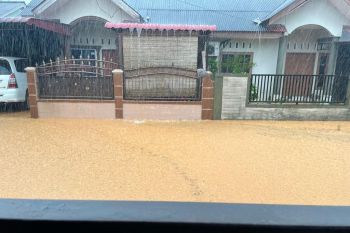 BMKG umumkan peringatan dini  potensi banjir rob di Kepri