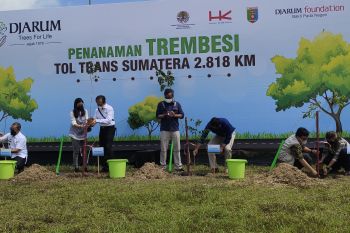 Djarum targetkan tanam 15.000 trembesi di JTTS kurangi emisi karbon